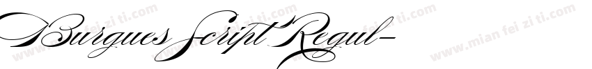 Burgues Script Regul字体转换